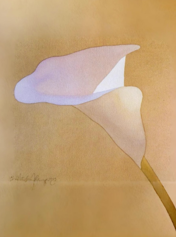 Reference artwork: Lily in Shadow by Mark Adams (1982), a calla lily watercolour that inspired this study